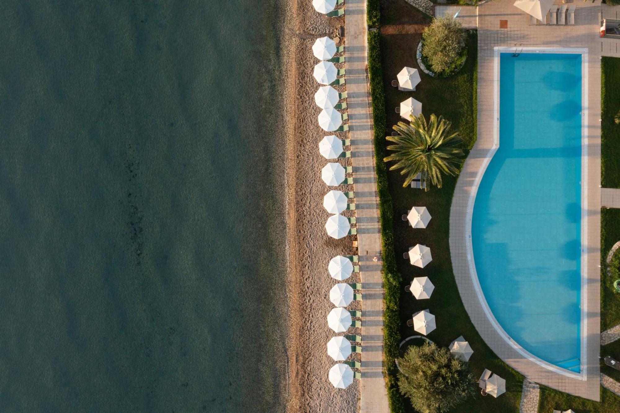 Elea Dassia (Corfu)